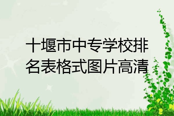 十堰市中专学校排名表格式图片高清