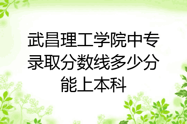武昌理工学院中专录取分数线多少分能上本科
