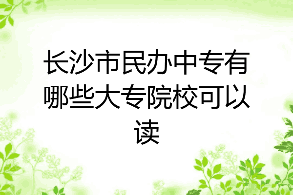 长沙市民办中专有哪些大专院校可以读