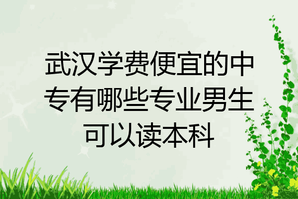 武汉学费便宜的中专有哪些专业男生可以读本科