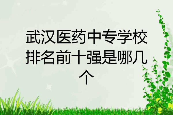 武汉医药中专学校排名前十强是哪几个