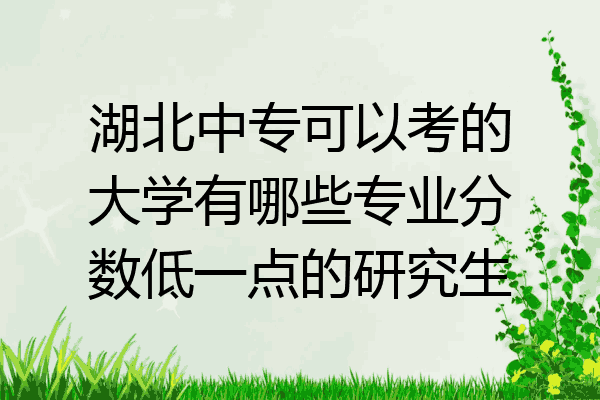 湖北中专可以考的大学有哪些专业分数低一点的研究生