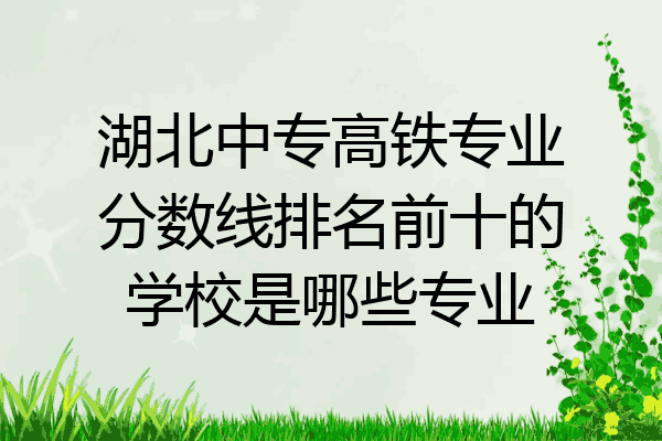 湖北中专高铁专业分数线排名前十的学校是哪些专业