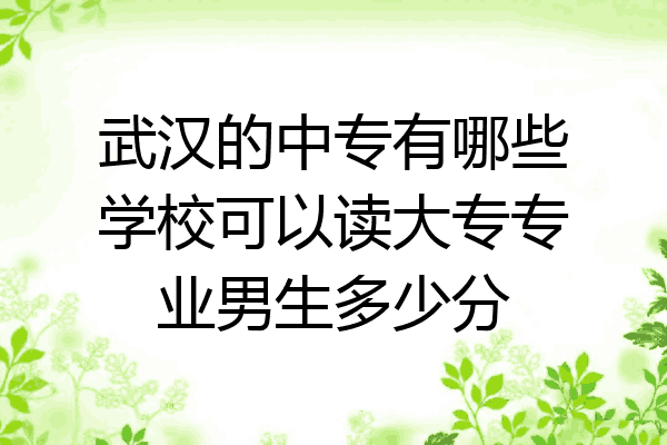 武汉的中专有哪些学校可以读大专专业男生多少分