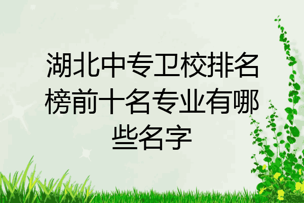 湖北中专卫校排名榜前十名专业有哪些名字