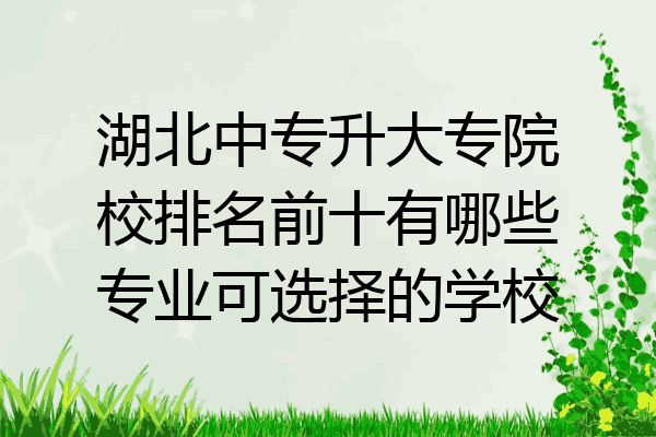 湖北中专升大专院校排名前十有哪些专业可选择的学校
