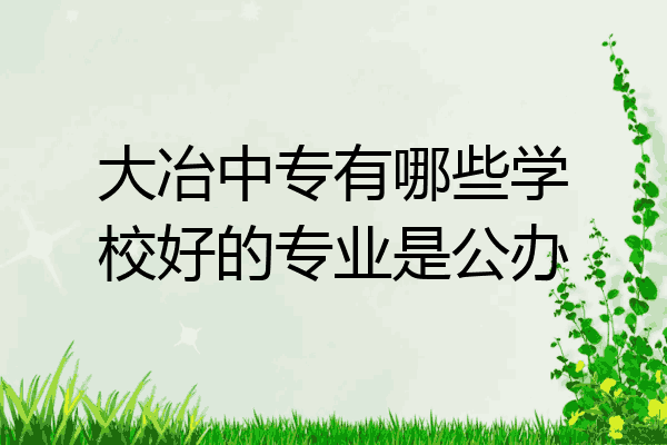 大冶中专有哪些学校好的专业是公办