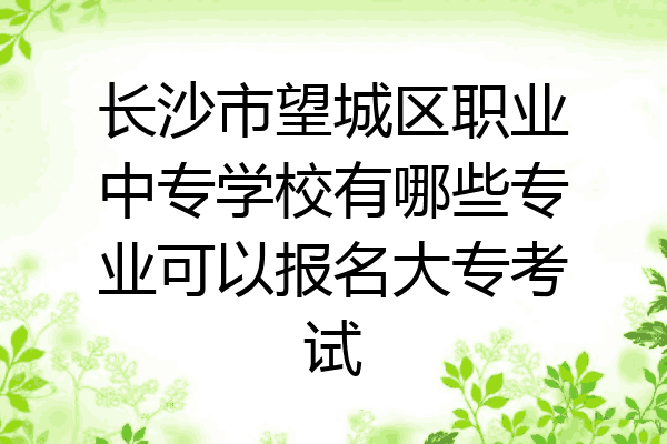长沙市望城区职业中专学校有哪些专业可以报名大专考试