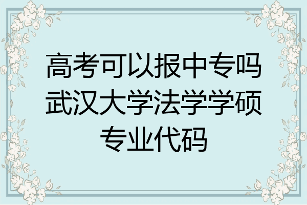 高考可以报中专吗武汉大学法学学硕专业代码