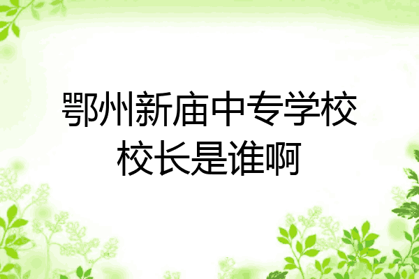 鄂州新庙中专学校校长是谁啊
