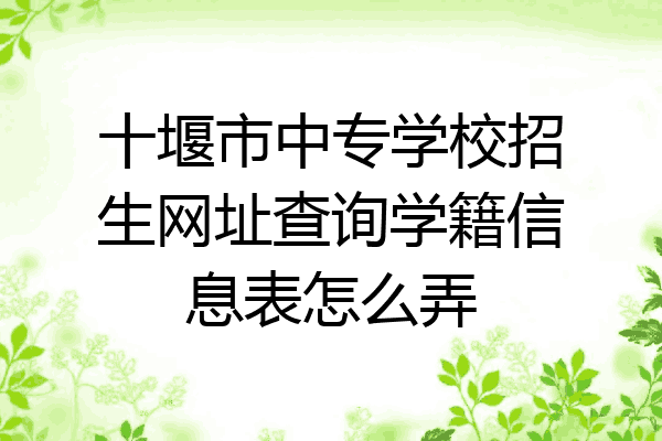 十堰市中专学校招生网址查询学籍信息表怎么弄