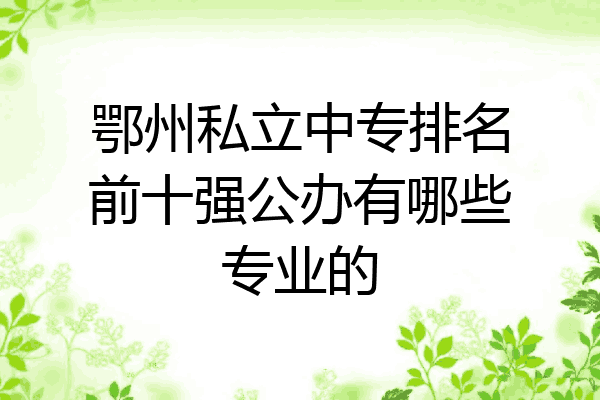 鄂州私立中专排名前十强公办有哪些专业的