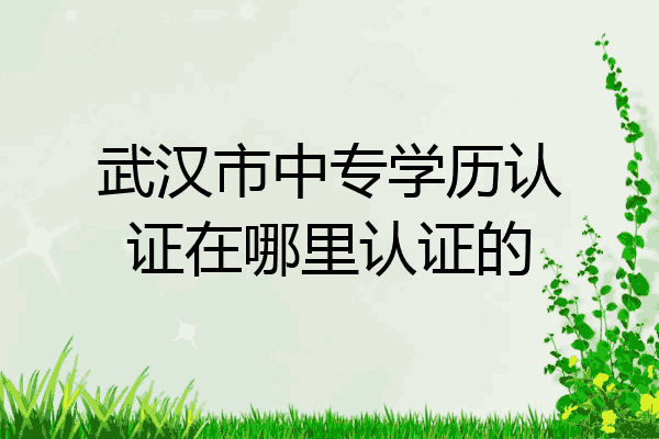 武汉市中专学历认证在哪里认证的