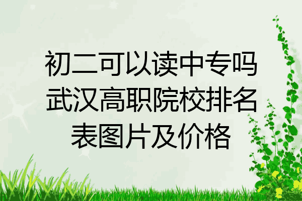 初二可以读中专吗武汉高职院校排名表图片及价格