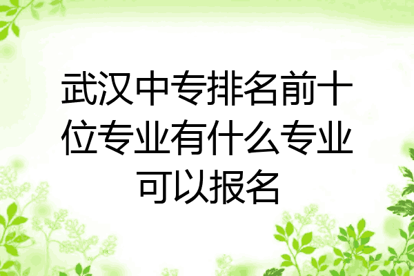 武汉中专排名前十位专业有什么专业可以报名