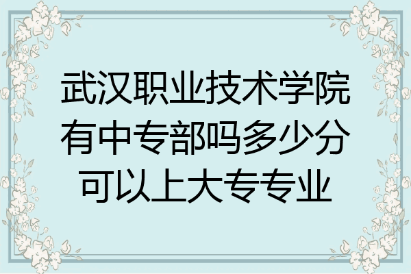 武汉职业技术学院有中专部吗多少分可以上大专专业