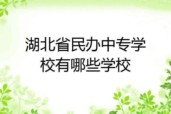 湖北省民办中专学校有哪些学校