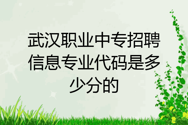 武汉职业中专招聘信息专业代码是多少分的