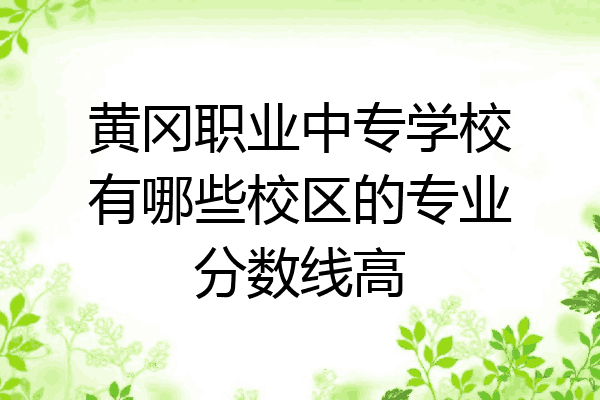 黄冈职业中专学校有哪些校区的专业分数线高