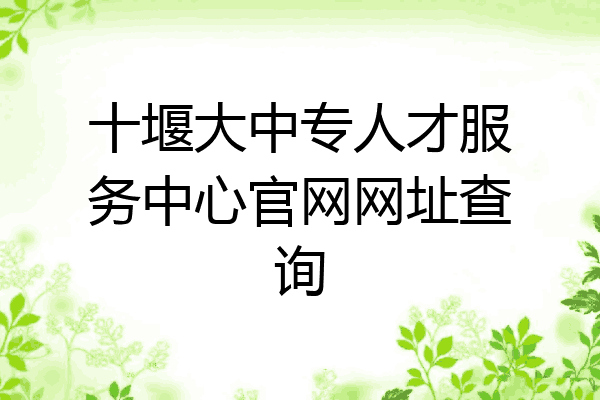 十堰大中专人才服务中心官网网址查询