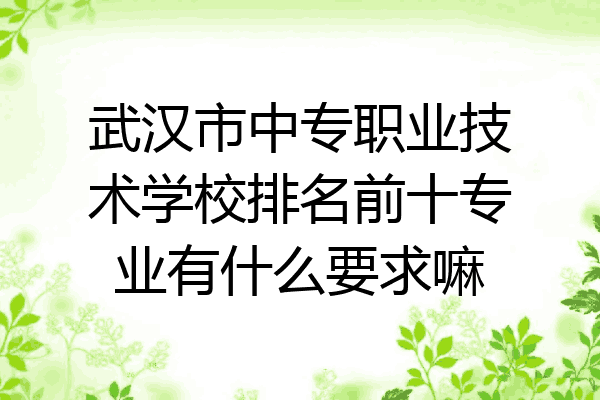 武汉市中专职业技术学校排名前十专业有什么要求嘛