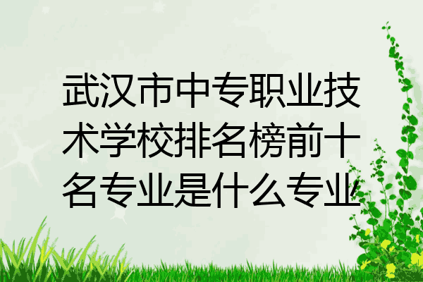 武汉市中专职业技术学校排名榜前十名专业是什么专业