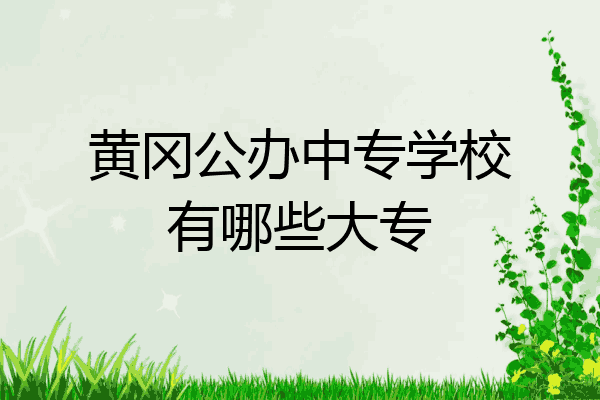 黄冈公办中专学校有哪些大专