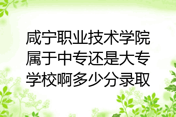 咸宁职业技术学院属于中专还是大专学校啊多少分录取
