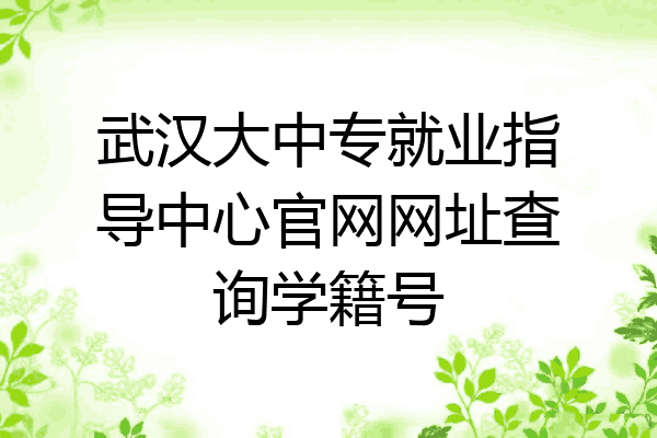 武汉大中专就业指导中心官网网址查询学籍号