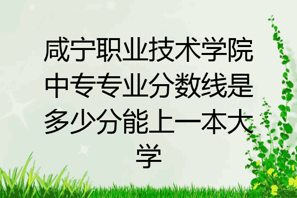 咸宁职业技术学院中专专业分数线是多少分能上一本大学