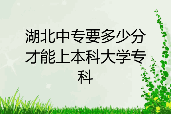 湖北中专要多少分才能上本科大学专科
