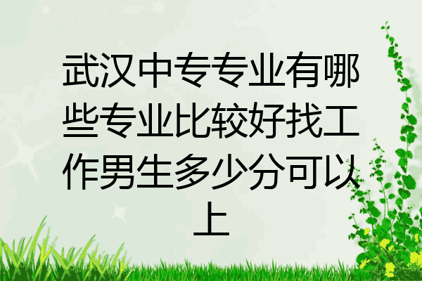 武汉中专专业有哪些专业比较好找工作男生多少分可以上