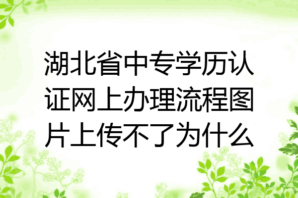 湖北省中专学历认证网上办理流程图片上传不了为什么
