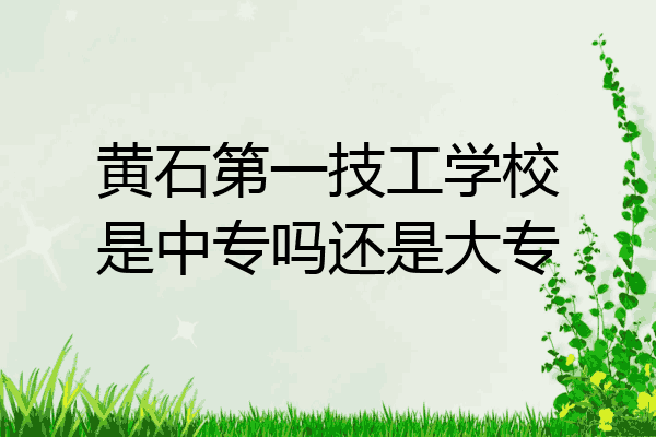 黄石第一技工学校是中专吗还是大专