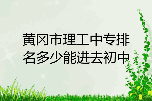 黄冈市理工中专排名多少能进去初中