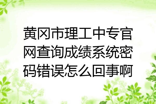 黄冈市理工中专官网查询成绩系统密码错误怎么回事啊