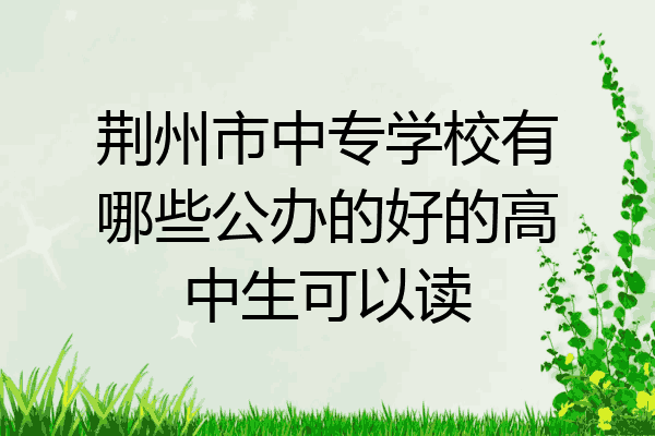 荆州市中专学校有哪些公办的好的高中生可以读
