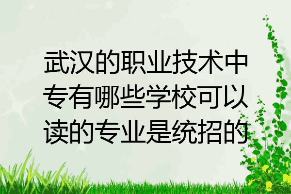 武汉的职业技术中专有哪些学校可以读的专业是统招的