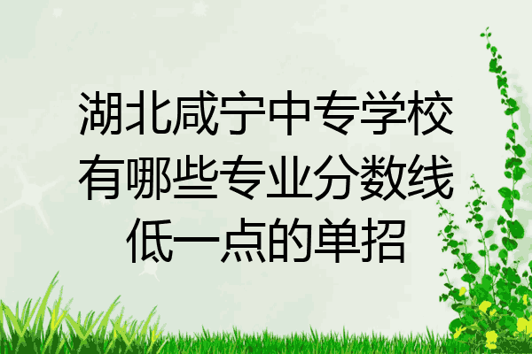 湖北咸宁中专学校有哪些专业分数线低一点的单招