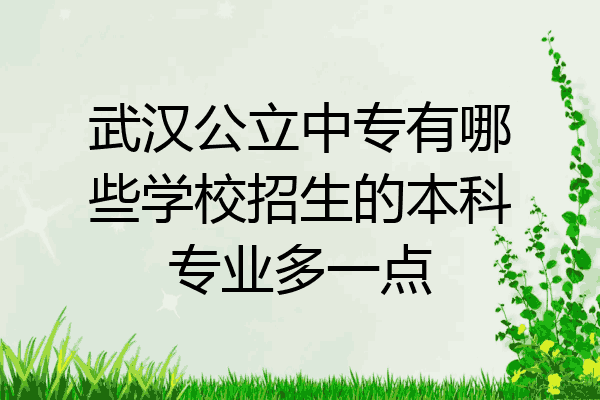 武汉公立中专有哪些学校招生的本科专业多一点