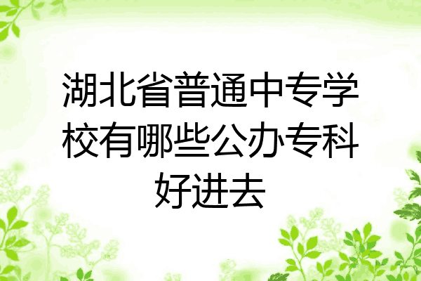 湖北省普通中专学校有哪些公办专科好进去