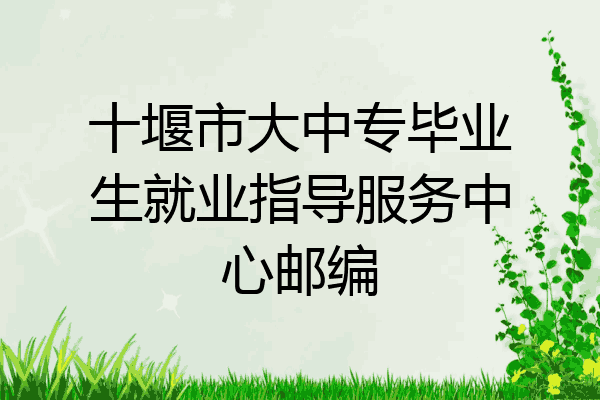 十堰市大中专毕业生就业指导服务中心邮编