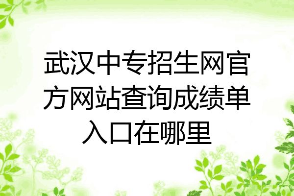 武汉中专招生网官方网站查询成绩单入口在哪里