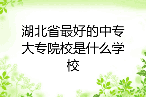 湖北省最好的中专大专院校是什么学校