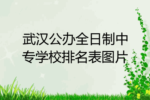 武汉公办全日制中专学校排名表图片
