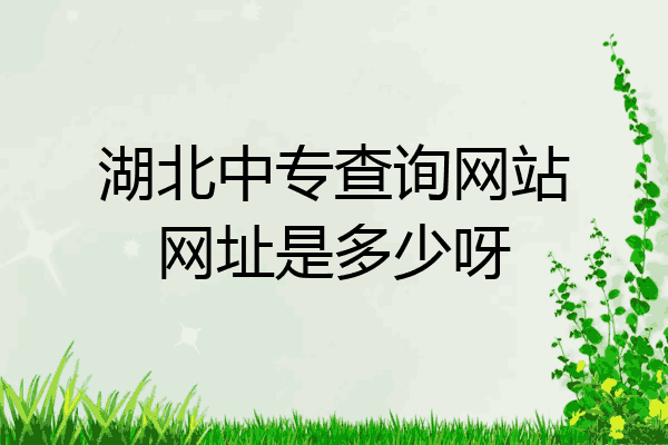 湖北中专查询网站网址是多少呀
