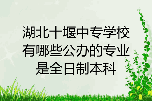湖北十堰中专学校有哪些公办的专业是全日制本科