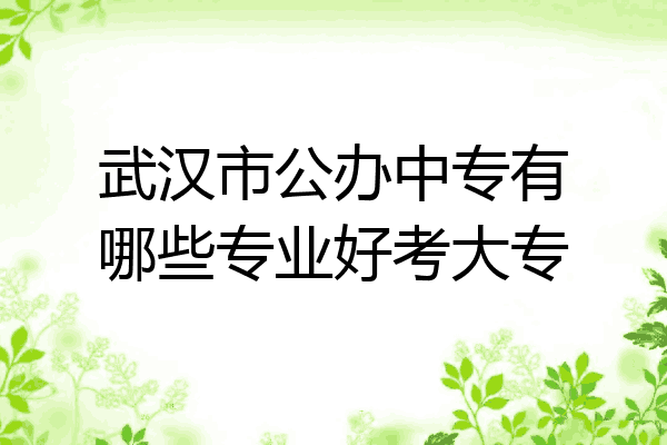 武汉市公办中专有哪些专业好考大专