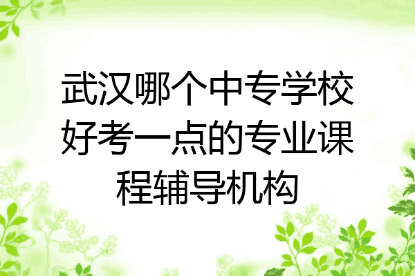 武汉哪个中专学校好考一点的专业课程辅导机构