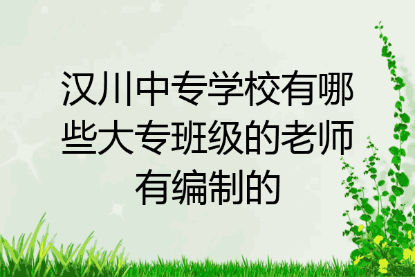 汉川中专学校有哪些大专班级的老师有编制的